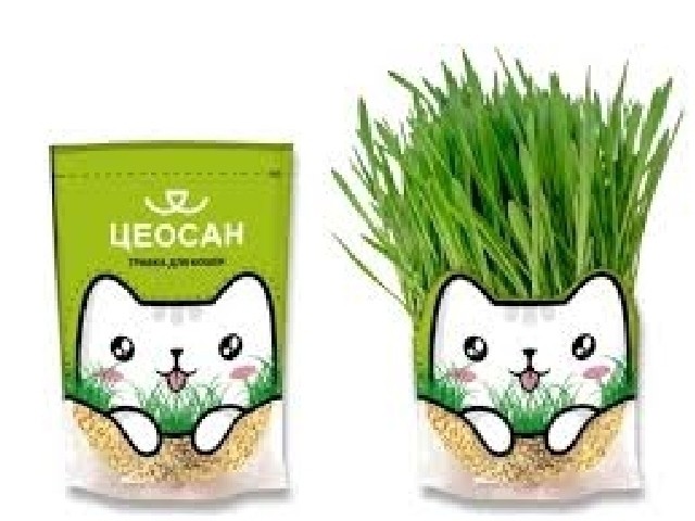 Трава для кошек ЦЕОСАН (объем грунта 0,5 л/объем семян 100 мл)
